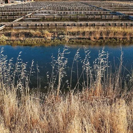 Appartement Strunajn *