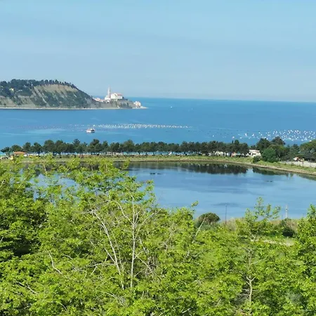 Appartement Strunajn